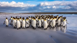 VANZANTEN_Strolling the beach.jpg