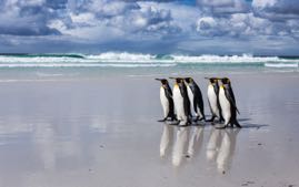 VANZANTEN_Going for a swim.jpg