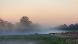VANZANTEN_Misty morning in Antelope Park.jpg