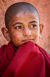 Young monk .jpg