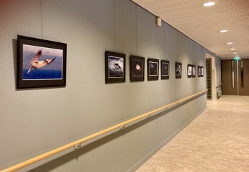 expo de kreek - IMG_2361