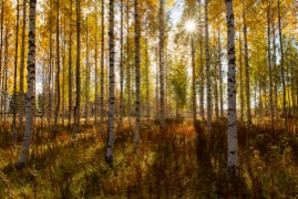 20221001-048.jpg