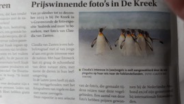 expo de kreek - krant.JPG