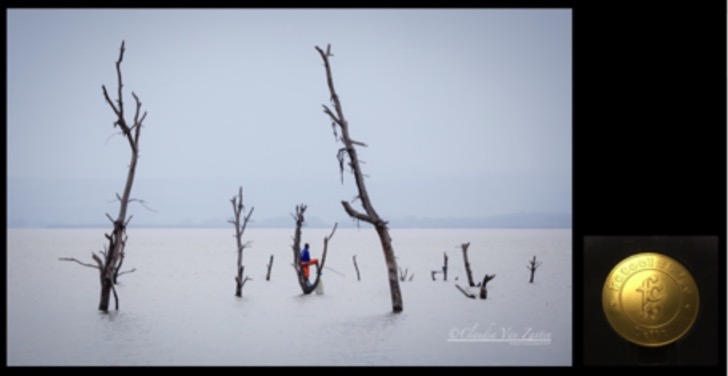 Awards 2019 Fisherman