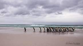 CVZ6D_20141023-750 WEB