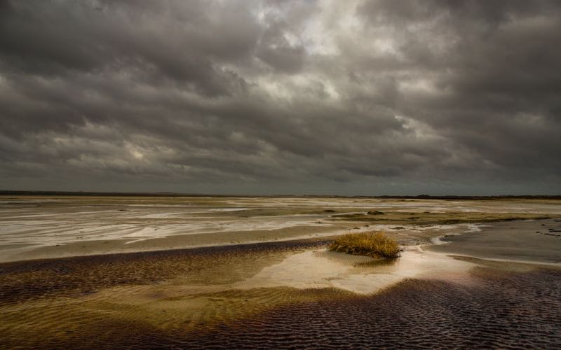 Also taken at the red river, tussocks with looming clouds. The result reminds me of the paintings of the old masters.