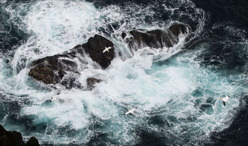 Waves crashing the shore, raw untouched landscape with the same shades of light and darkness.